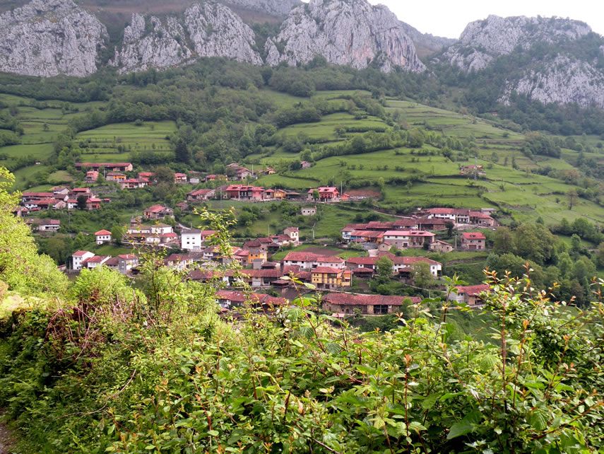 im&aacute;gen ampliada