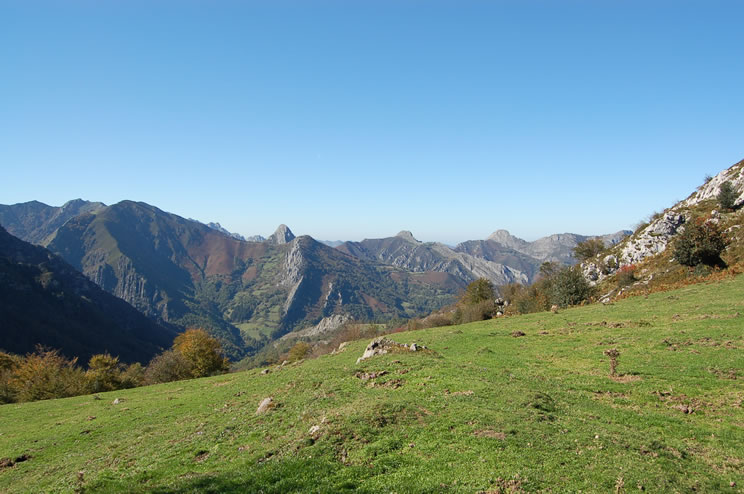 im&aacute;gen ampliada